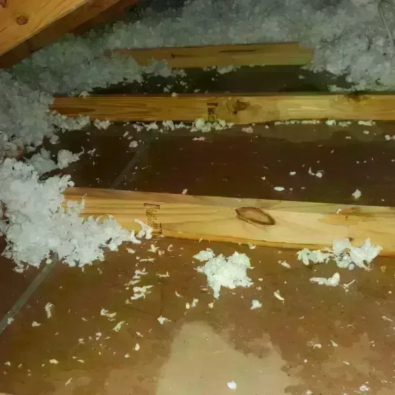 Attic Water Damage in Harlan, IN